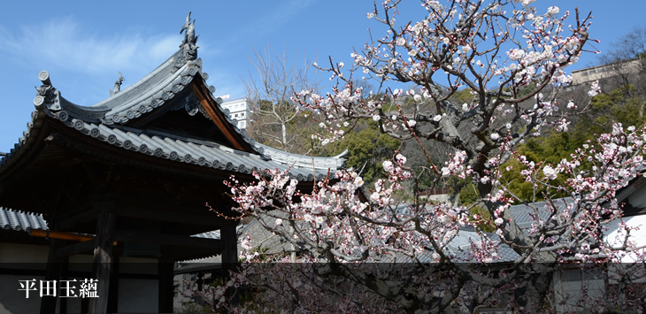 平田玉蘊