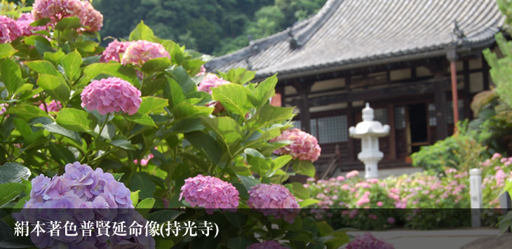 絹本著色普賢延命像(持光寺)