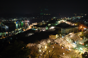 千光寺からの夜景